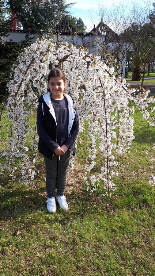 Домики У Лизы Под Ключ Picunda Kültér fotó